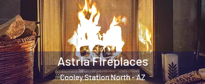 Astria Fireplaces Cooley Station North - AZ