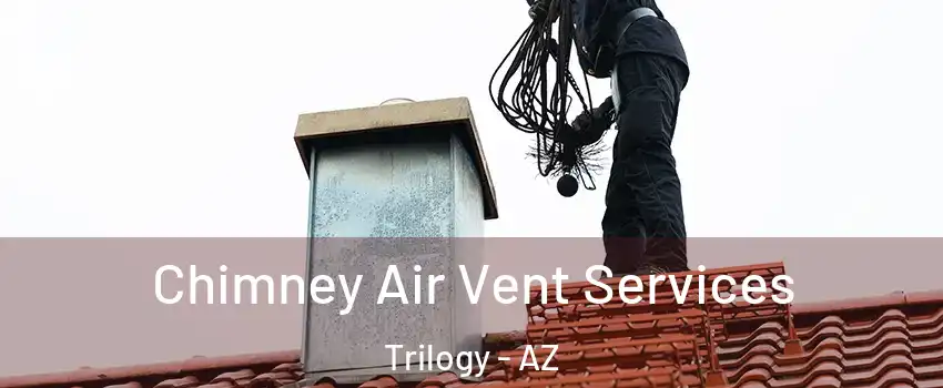 Chimney Air Vent Services Trilogy - AZ