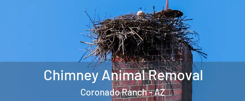 Chimney Animal Removal Coronado Ranch - AZ