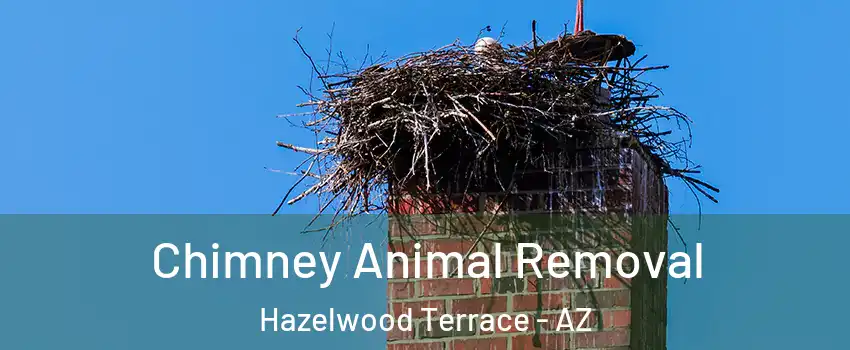 Chimney Animal Removal Hazelwood Terrace - AZ