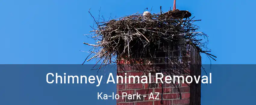 Chimney Animal Removal Ka-lo Park - AZ