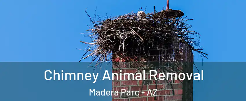 Chimney Animal Removal Madera Parc - AZ