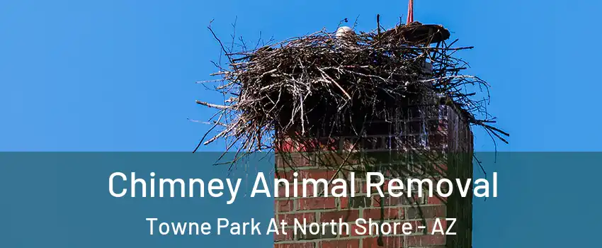 Chimney Animal Removal Towne Park At North Shore - AZ