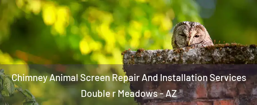 Chimney Animal Screen Repair And Installation Services Double r Meadows - AZ