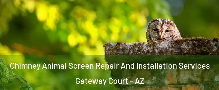 Chimney Animal Screen Repair And Installation Services Gateway Court - AZ