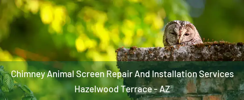 Chimney Animal Screen Repair And Installation Services Hazelwood Terrace - AZ