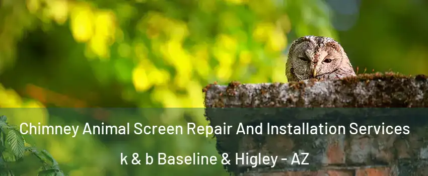 Chimney Animal Screen Repair And Installation Services k & b Baseline & Higley - AZ