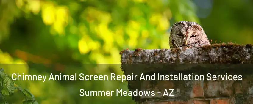 Chimney Animal Screen Repair And Installation Services Summer Meadows - AZ