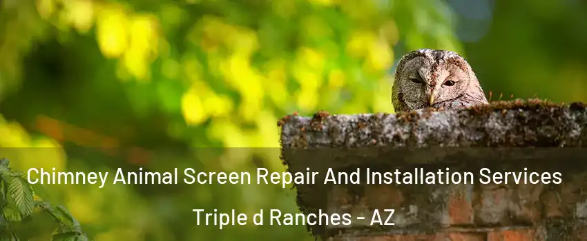 Chimney Animal Screen Repair And Installation Services Triple d Ranches - AZ