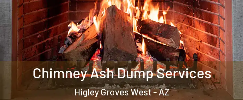 Chimney Ash Dump Services Higley Groves West - AZ