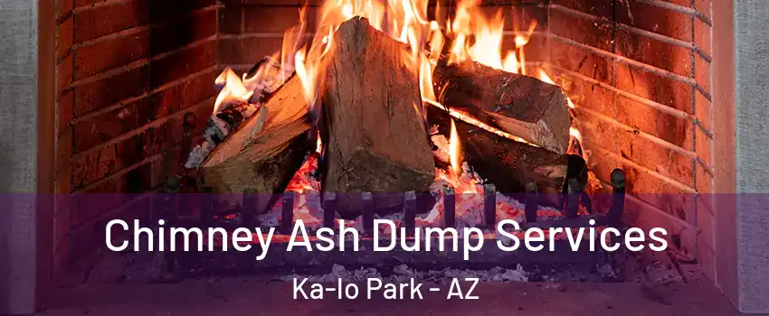 Chimney Ash Dump Services Ka-lo Park - AZ