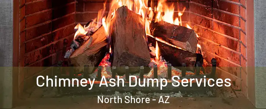 Chimney Ash Dump Services North Shore - AZ