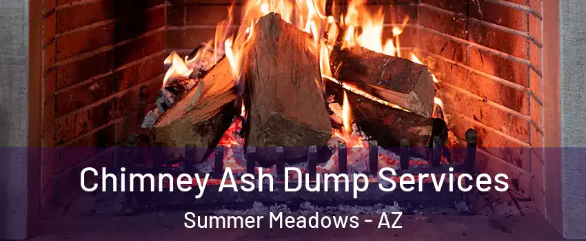 Chimney Ash Dump Services Summer Meadows - AZ