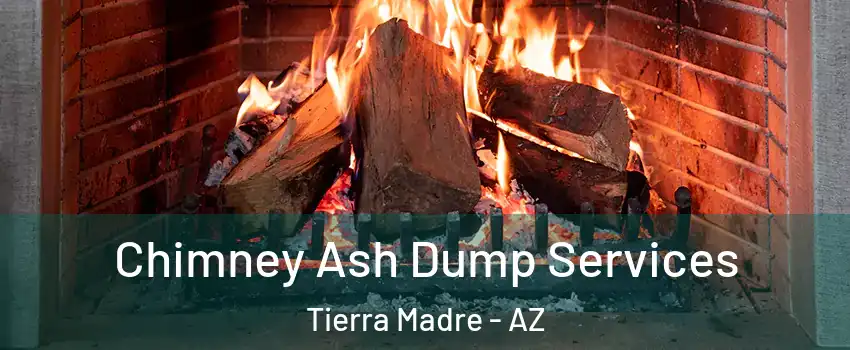 Chimney Ash Dump Services Tierra Madre - AZ