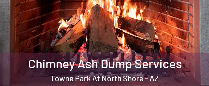 Chimney Ash Dump Services Towne Park At North Shore - AZ