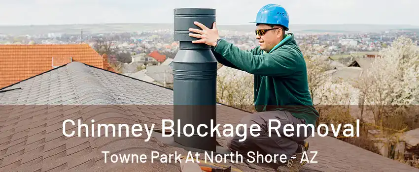 Chimney Blockage Removal Towne Park At North Shore - AZ