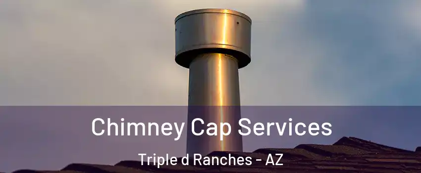 Chimney Cap Services Triple d Ranches - AZ