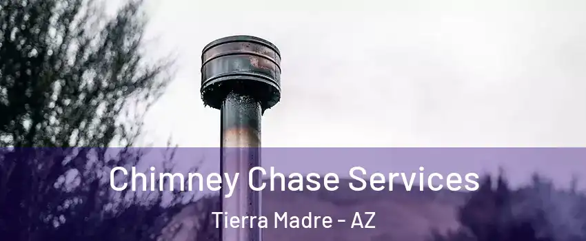 Chimney Chase Services Tierra Madre - AZ