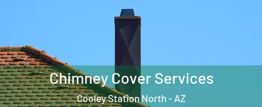 Chimney Cover Services Cooley Station North - AZ