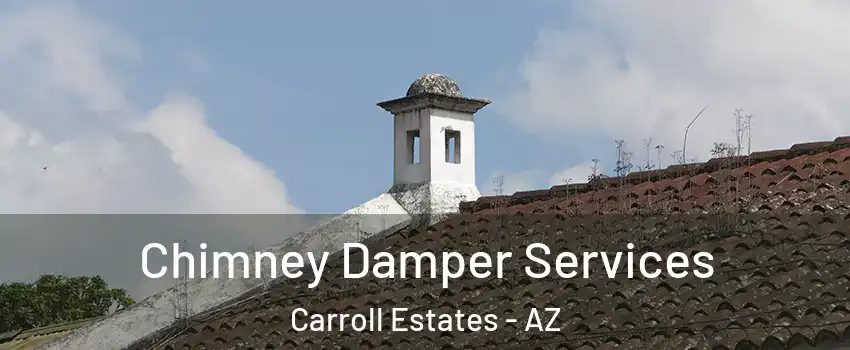 Chimney Damper Services Carroll Estates - AZ