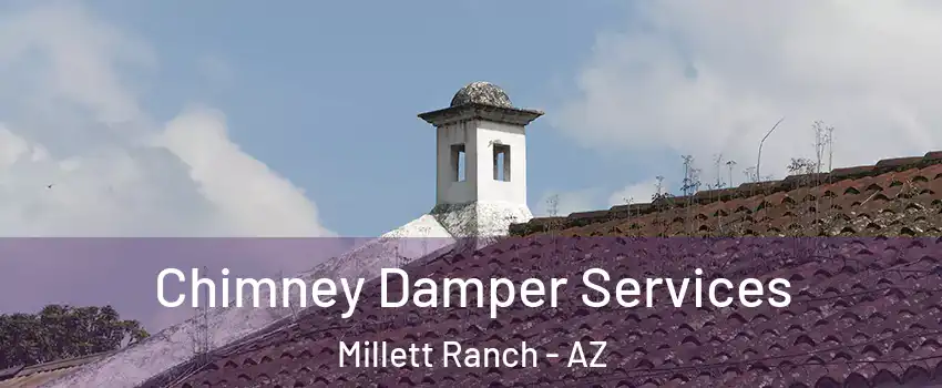 Chimney Damper Services Millett Ranch - AZ