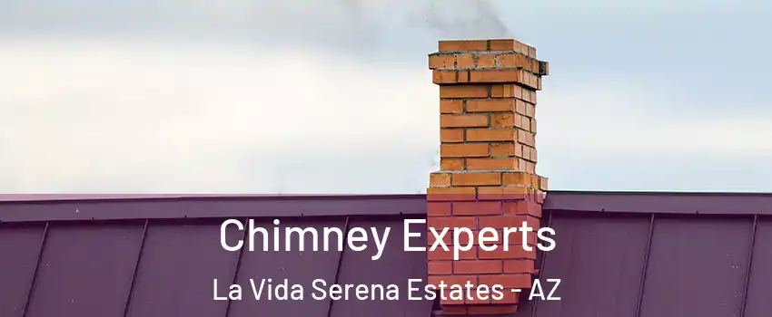 Chimney Experts La Vida Serena Estates - AZ