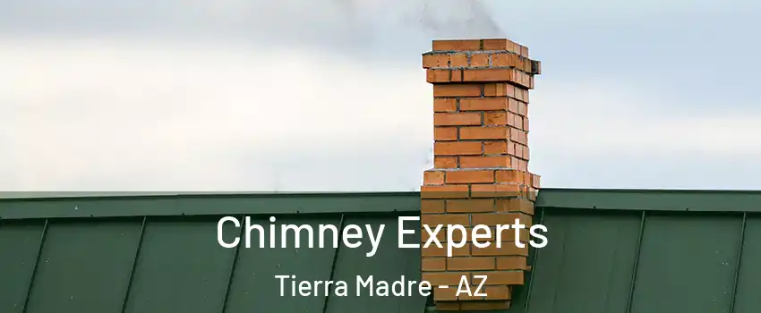 Chimney Experts Tierra Madre - AZ