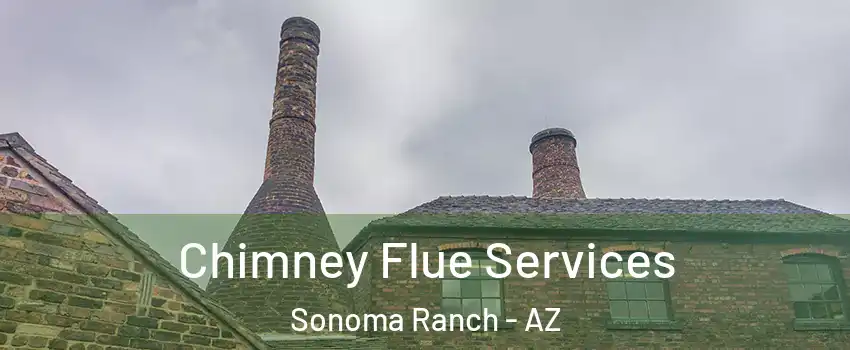 Chimney Flue Services Sonoma Ranch - AZ