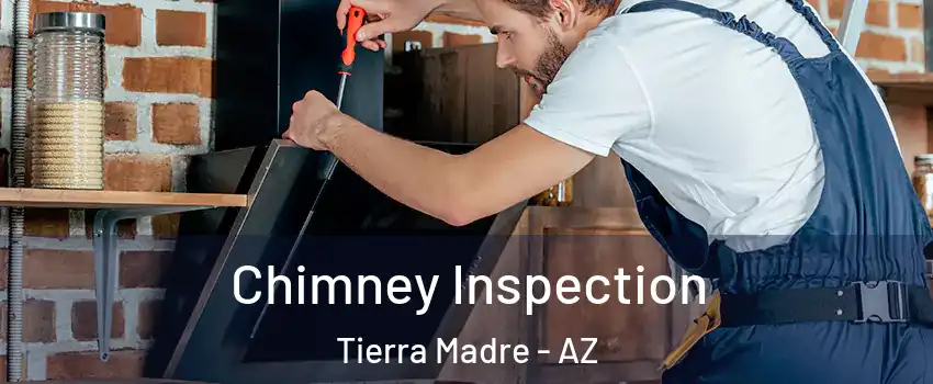 Chimney Inspection Tierra Madre - AZ