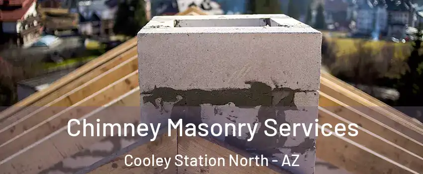 Chimney Masonry Services Cooley Station North - AZ