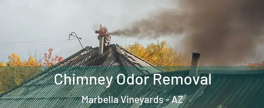 Chimney Odor Removal Marbella Vineyards - AZ