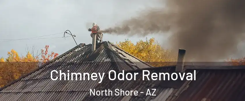 Chimney Odor Removal North Shore - AZ