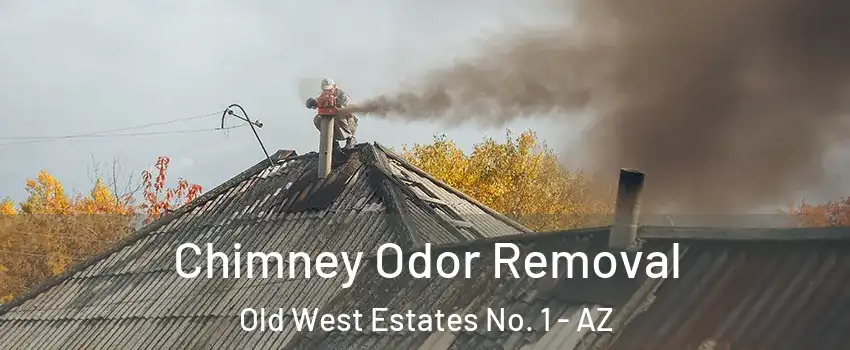 Chimney Odor Removal Old West Estates No. 1 - AZ