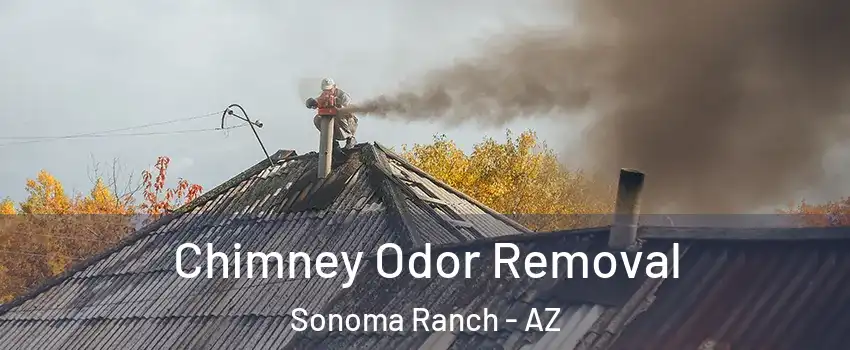 Chimney Odor Removal Sonoma Ranch - AZ