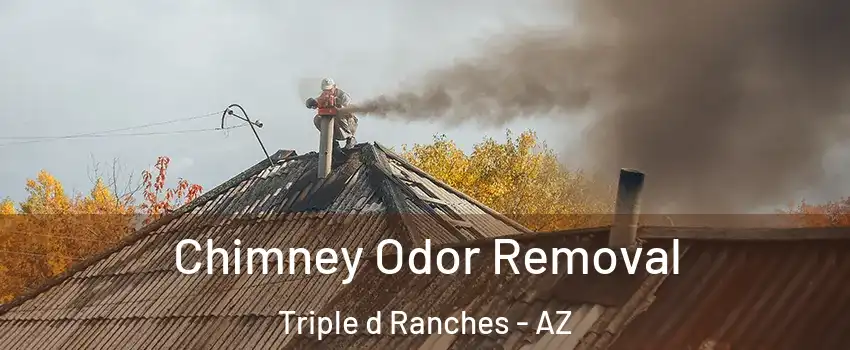 Chimney Odor Removal Triple d Ranches - AZ