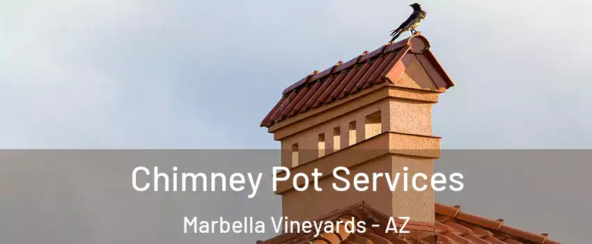 Chimney Pot Services Marbella Vineyards - AZ