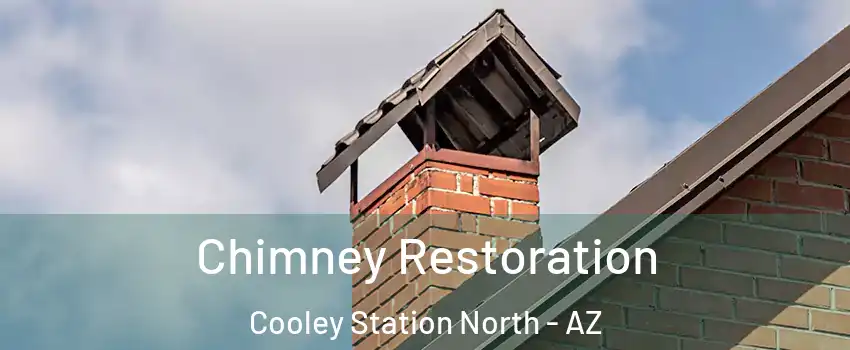 Chimney Restoration Cooley Station North - AZ