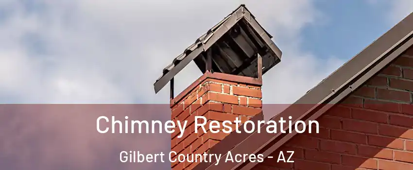 Chimney Restoration Gilbert Country Acres - AZ