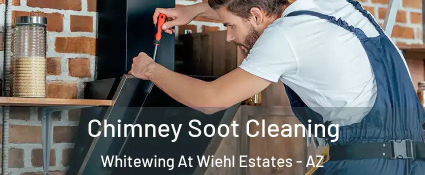 Chimney Soot Cleaning Whitewing At Wiehl Estates - AZ