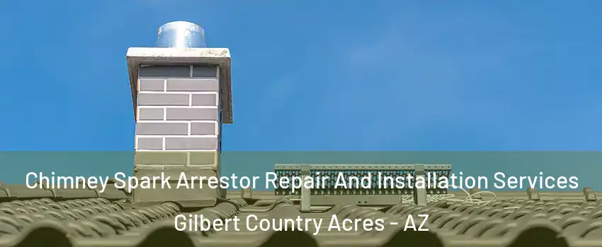 Chimney Spark Arrestor Repair And Installation Services Gilbert Country Acres - AZ