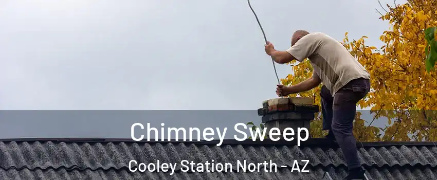 Chimney Sweep Cooley Station North - AZ