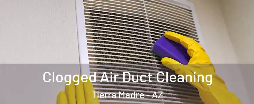 Clogged Air Duct Cleaning Tierra Madre - AZ