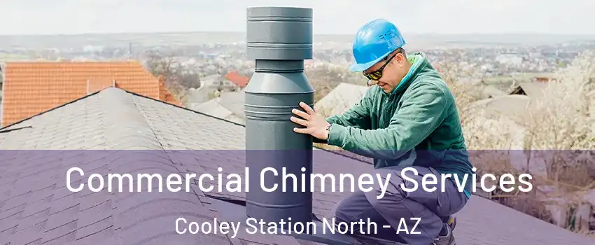 Commercial Chimney Services Cooley Station North - AZ