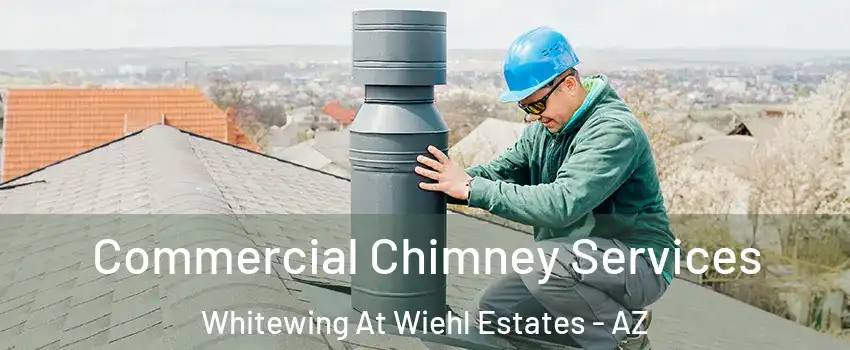 Commercial Chimney Services Whitewing At Wiehl Estates - AZ