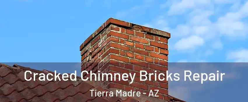 Cracked Chimney Bricks Repair Tierra Madre - AZ