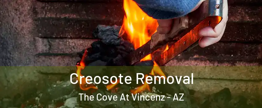 Creosote Removal The Cove At Vincenz - AZ