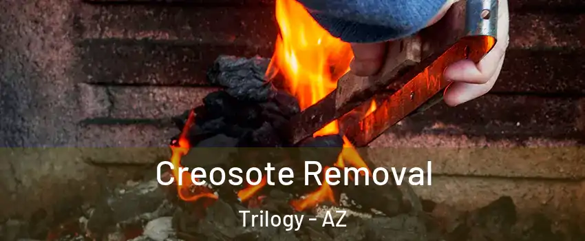 Creosote Removal Trilogy - AZ