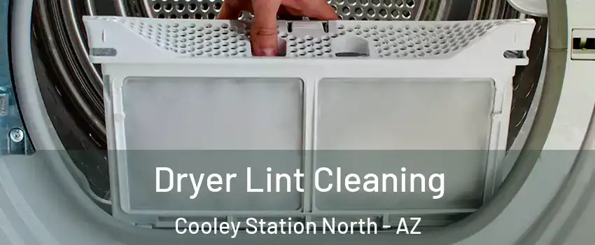 Dryer Lint Cleaning Cooley Station North - AZ