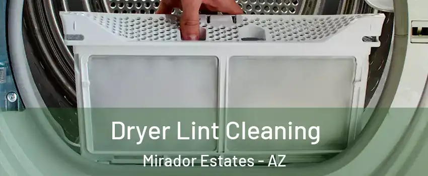 Dryer Lint Cleaning Mirador Estates - AZ