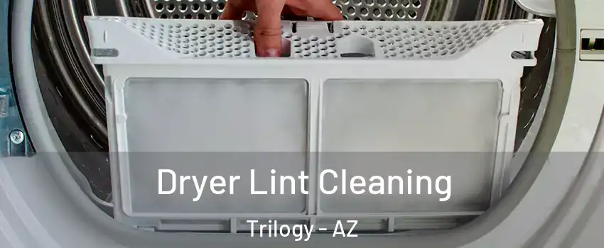 Dryer Lint Cleaning Trilogy - AZ